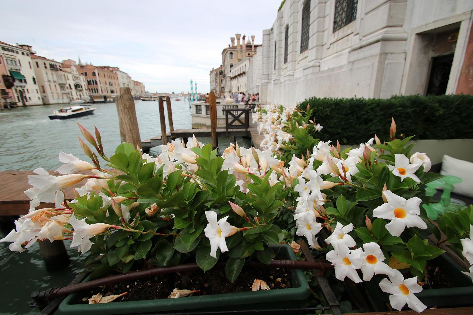 Appartamento Grandelux-canal - Bbc Grand Tour 2024 Recorded Here! *